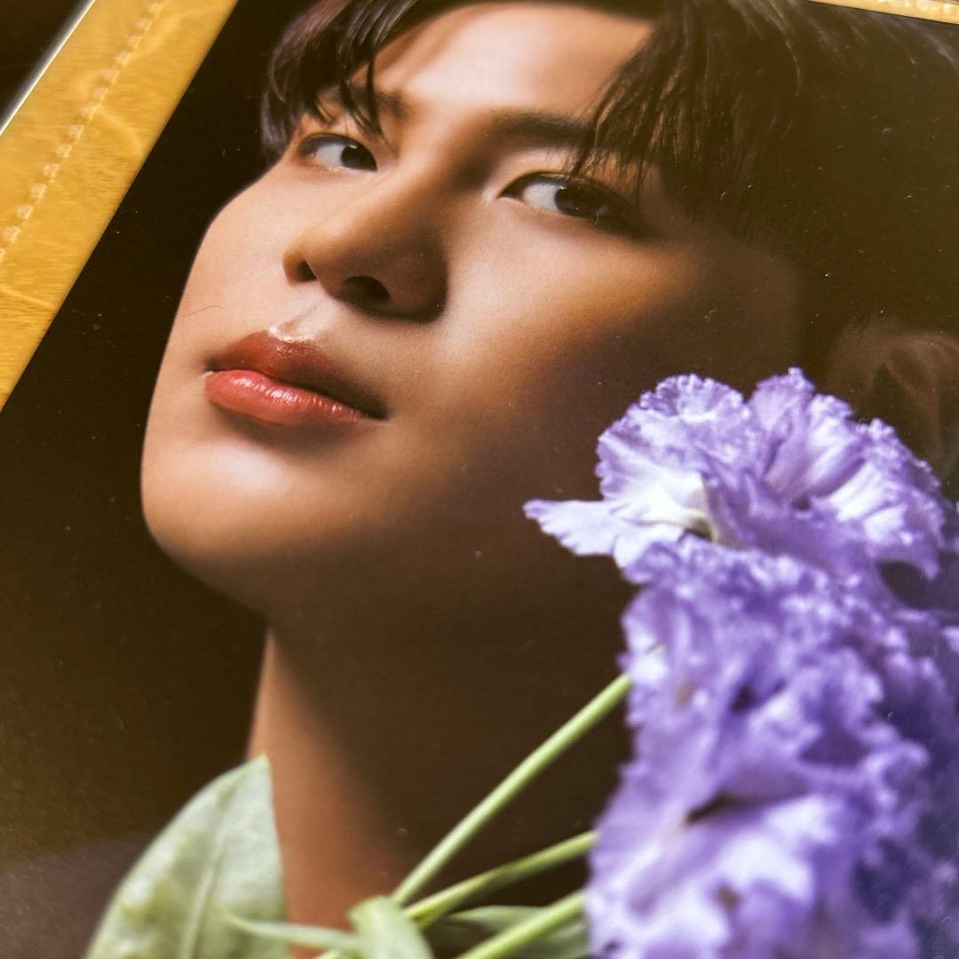 ATEEZ scawaii ポストカード コンプ 8枚セット