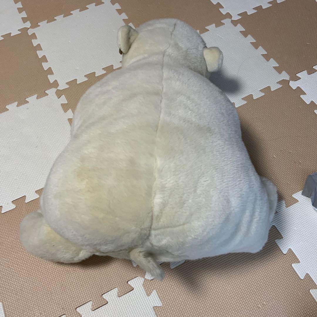 シロクマ ぬいぐるみ 大型