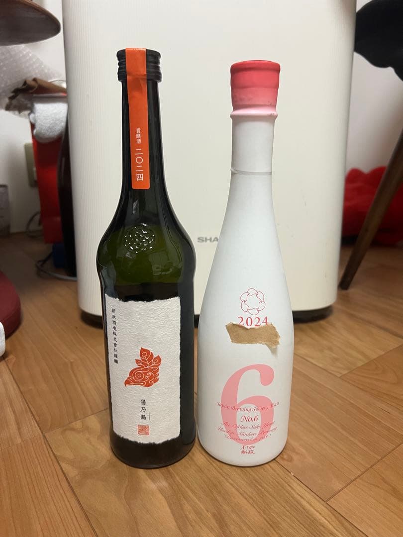 新政　陽乃鳥　no.6 X