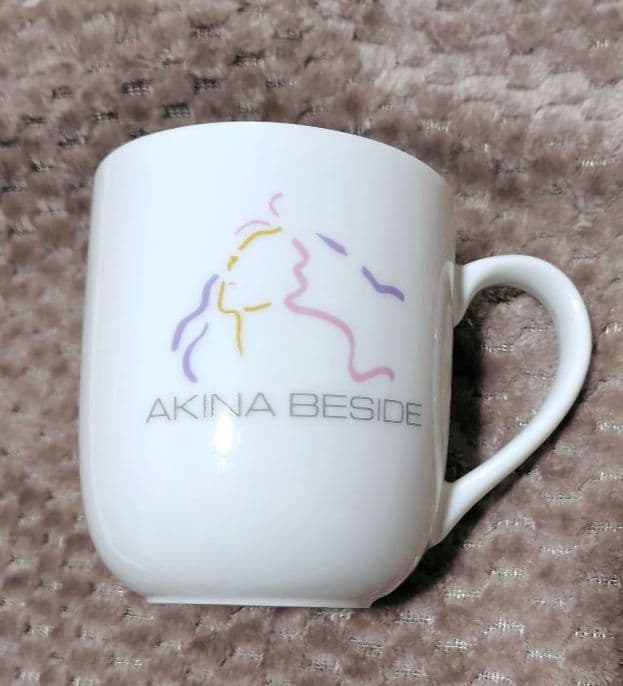 中森明菜 1989AKINA BESIDEグッズセット