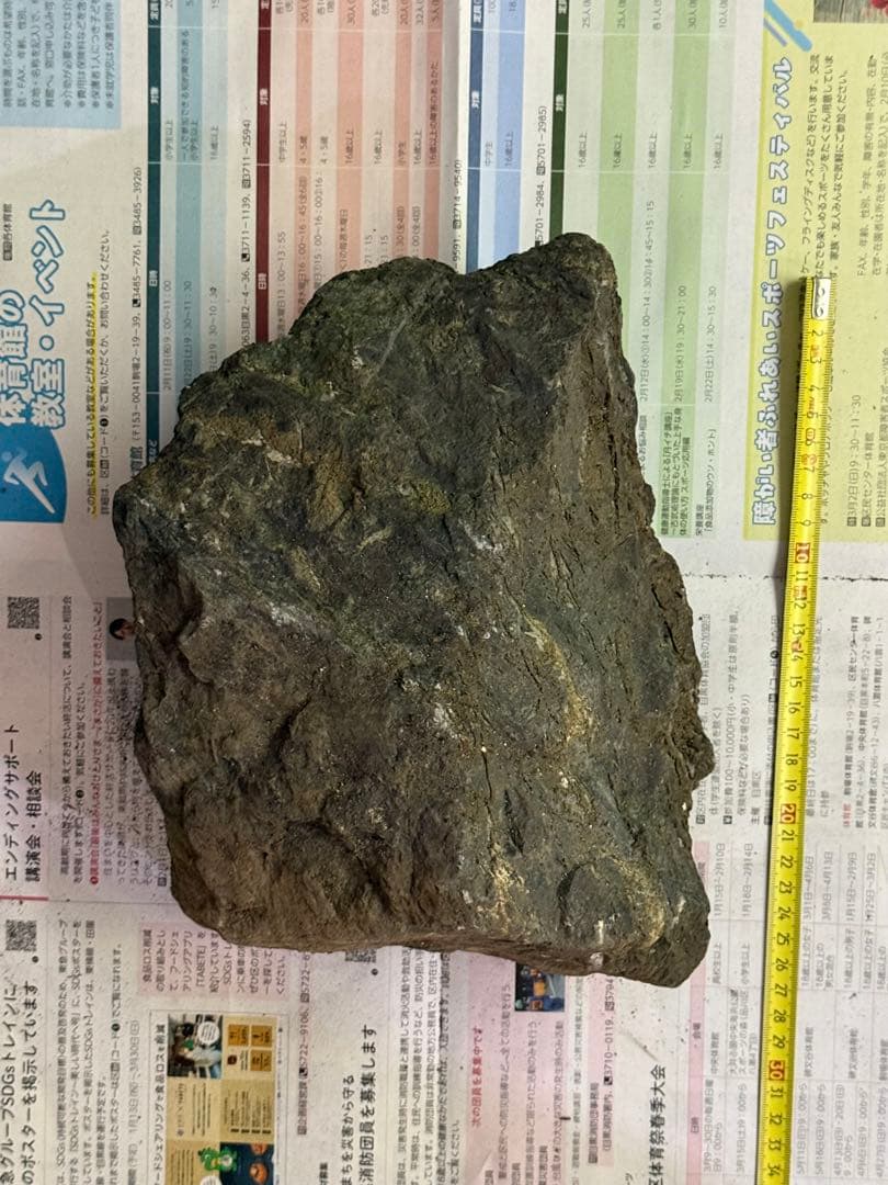 ADA 万天石　大1個です