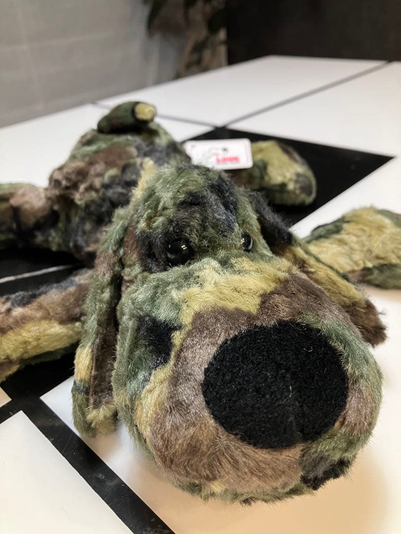 ★★ SONGです★★ 子犬のるーくL　カモフラフィールド