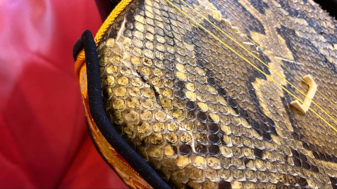 パールさん専用！【ジャンク】奄美 蛇皮三味線本体 3弦 角型おまけ付き