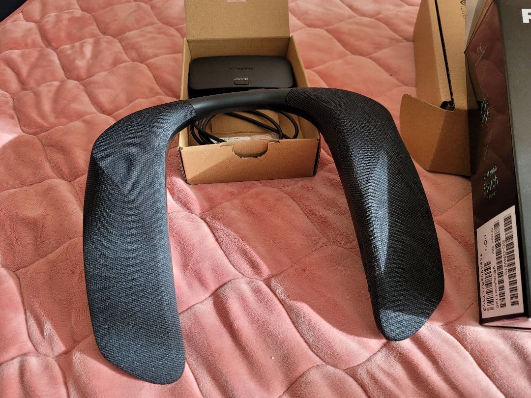 Panasonic SC-GNWI10 ワイヤレスネックスピーカー