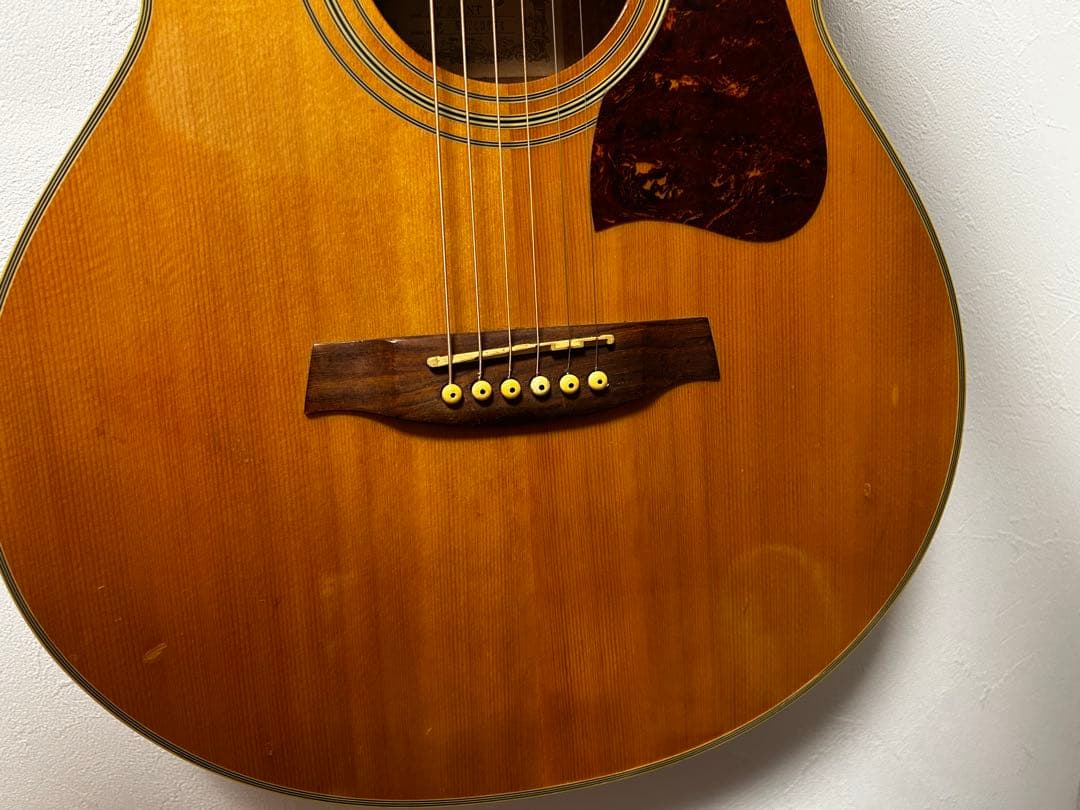 Ibanez V 200 NT アコースティックギター