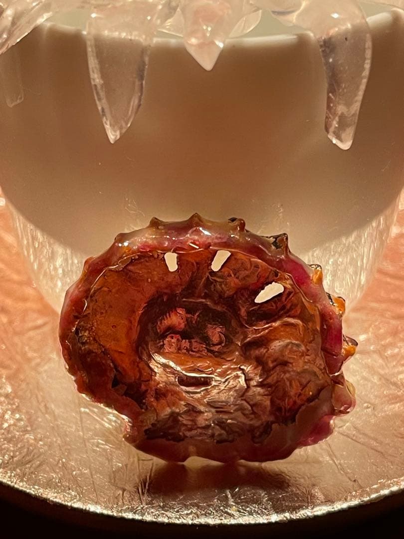 リモージュ ×アンモナイト　ヴィンテージ　アクセサリーケース　銀製品　工芸品