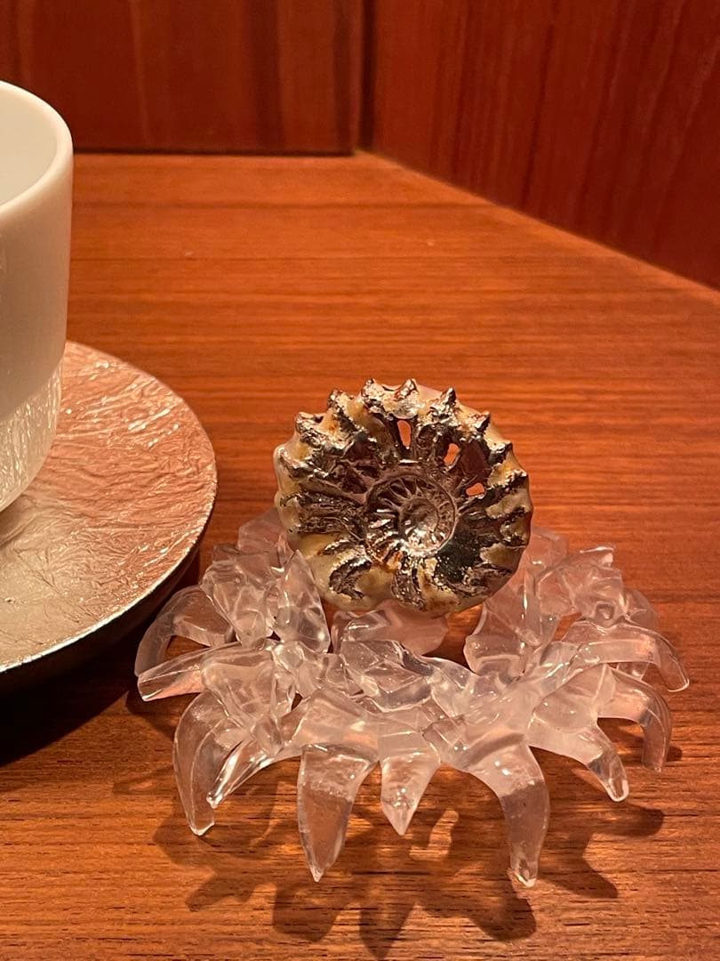 リモージュ ×アンモナイト　ヴィンテージ　アクセサリーケース　銀製品　工芸品