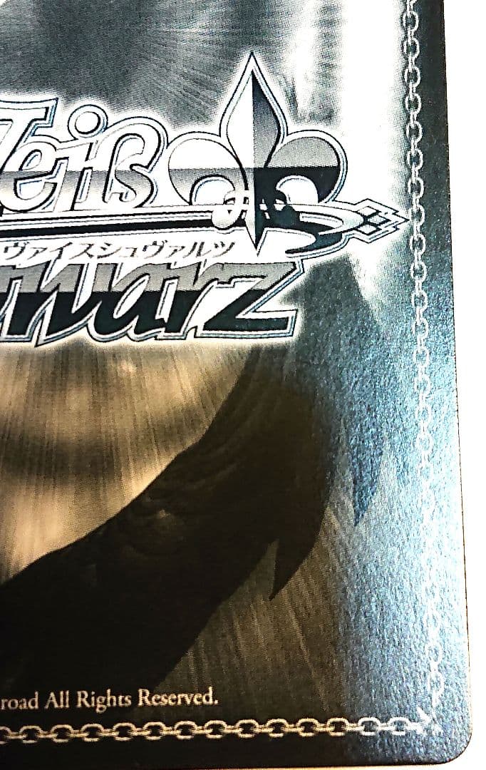 ジョジョの奇妙な冒険 ヴァイス 希望の星 承太郎 スタープラチナ SP サイン