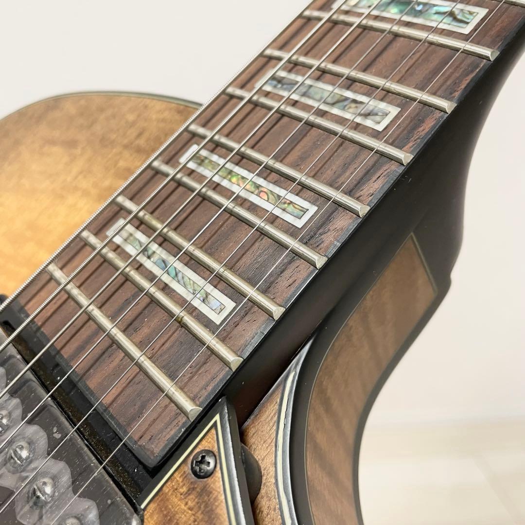 【極美品】Ibanez AGS83B セミアコ