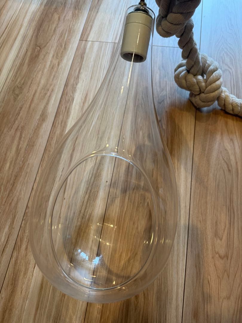 SWAN スワン電器 ボタニックハンギングライト(L)電球無