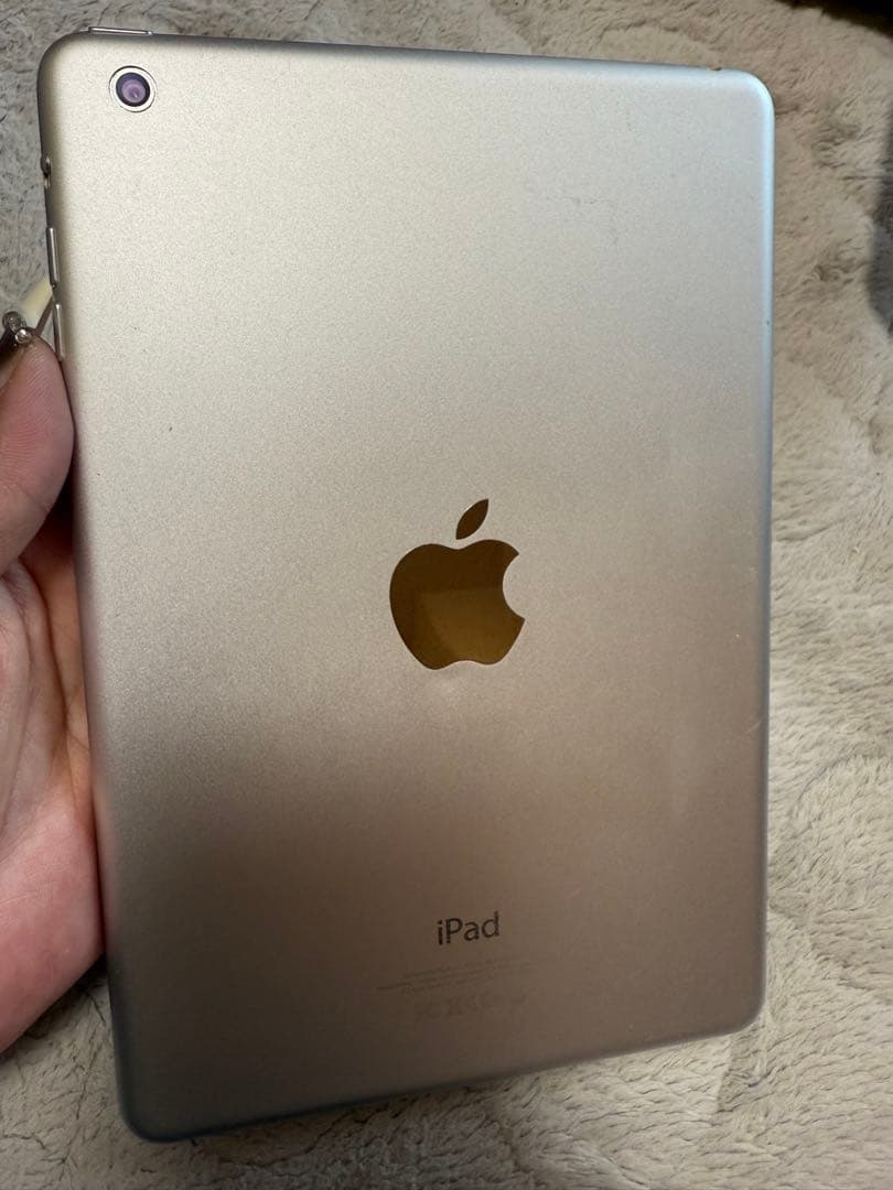 iPad mini 2台まとめ売り