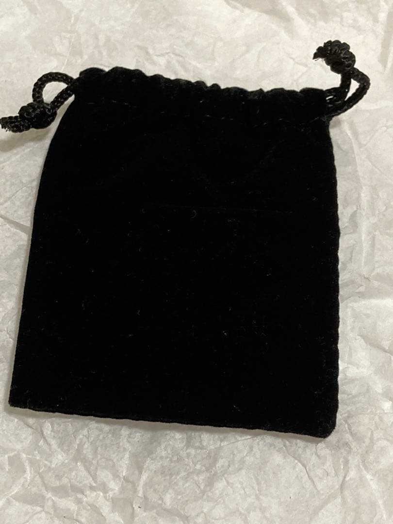 レア　東京ディズニーシー　オープニング　デート　アナウンスメント　ピンバッジ