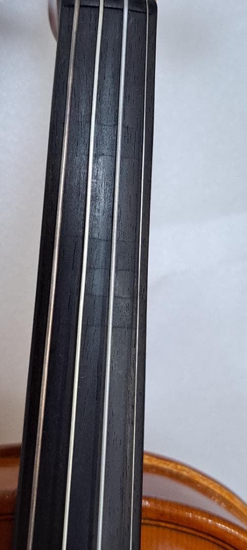 Ryo イーストマン10/1バイオリンセット(肩当て、弓、ケース)