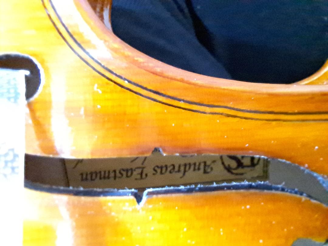 Ryo イーストマン10/1バイオリンセット(肩当て、弓、ケース)