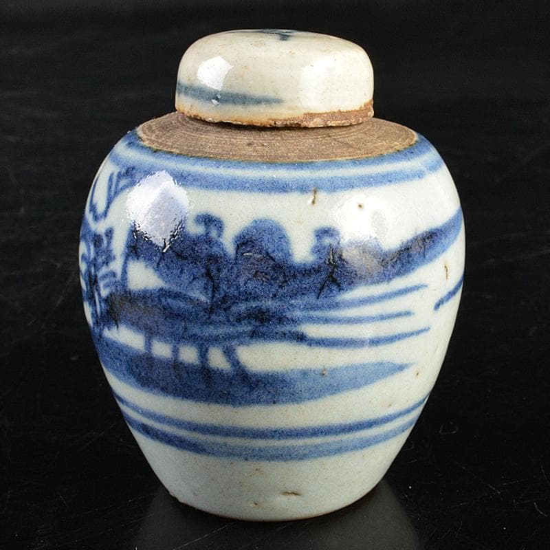 中国　染付　山水文　茶壷　茶心壷　時代箱付　V　R5973