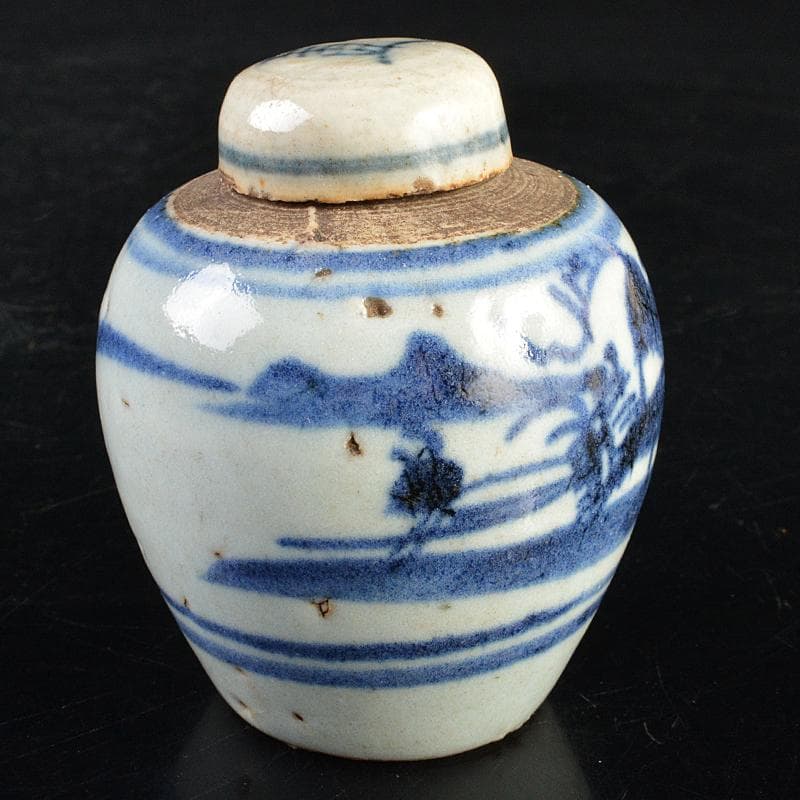 中国　染付　山水文　茶壷　茶心壷　時代箱付　V　R5973