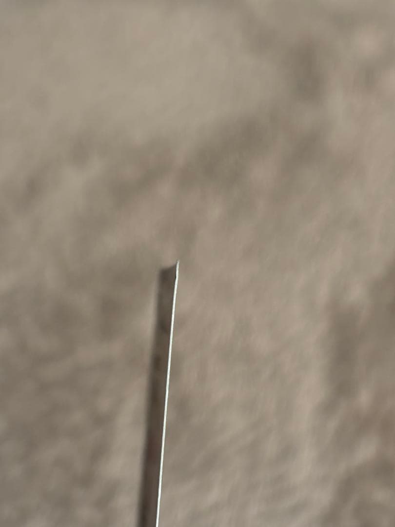 【早い者勝ち！27日12時まで】サーナイトex SAR SV1S 101/078