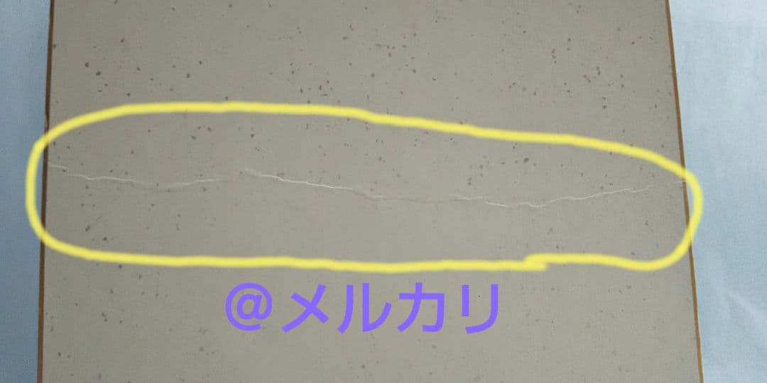 星野架名　直筆イラスト入り　サイン色紙　緑野原学園シリーズ　今西弘樹