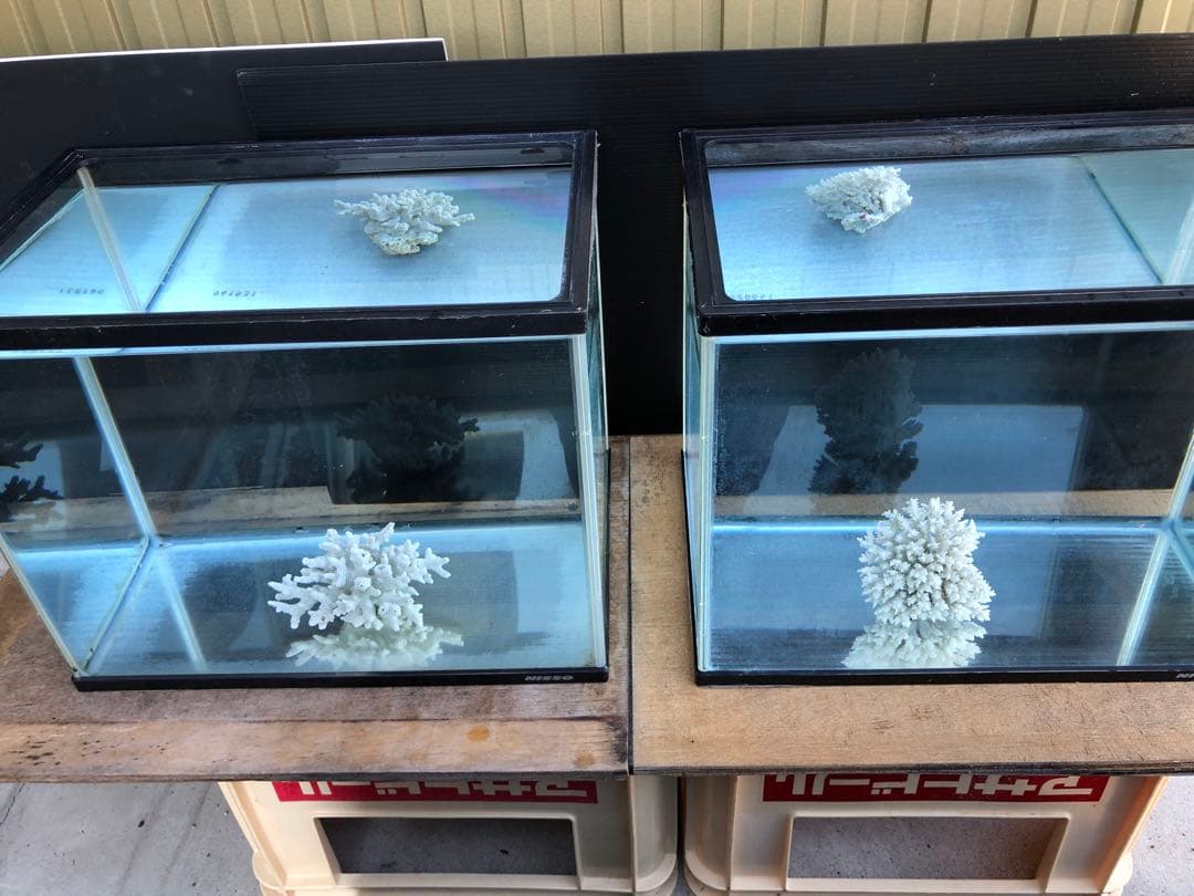 か*ん様 水槽45×30×H36cm 2本