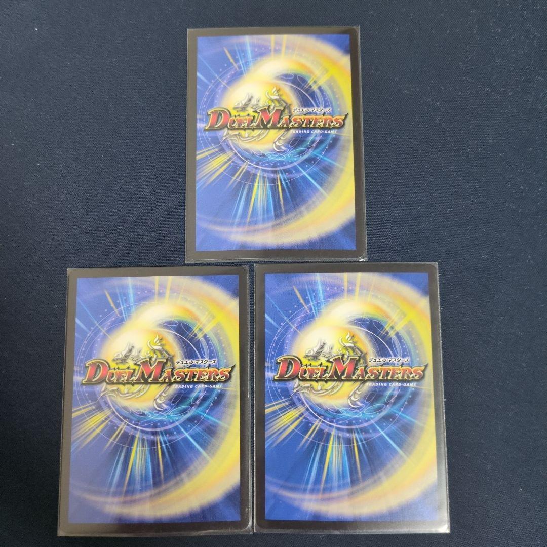 パーフェクトペテンシー　シク