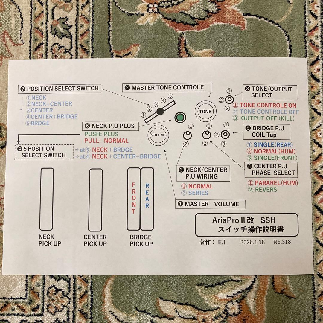 ☆早い者勝ち☆珍色　モディファイして新機能満載 AriaProII SSH ST