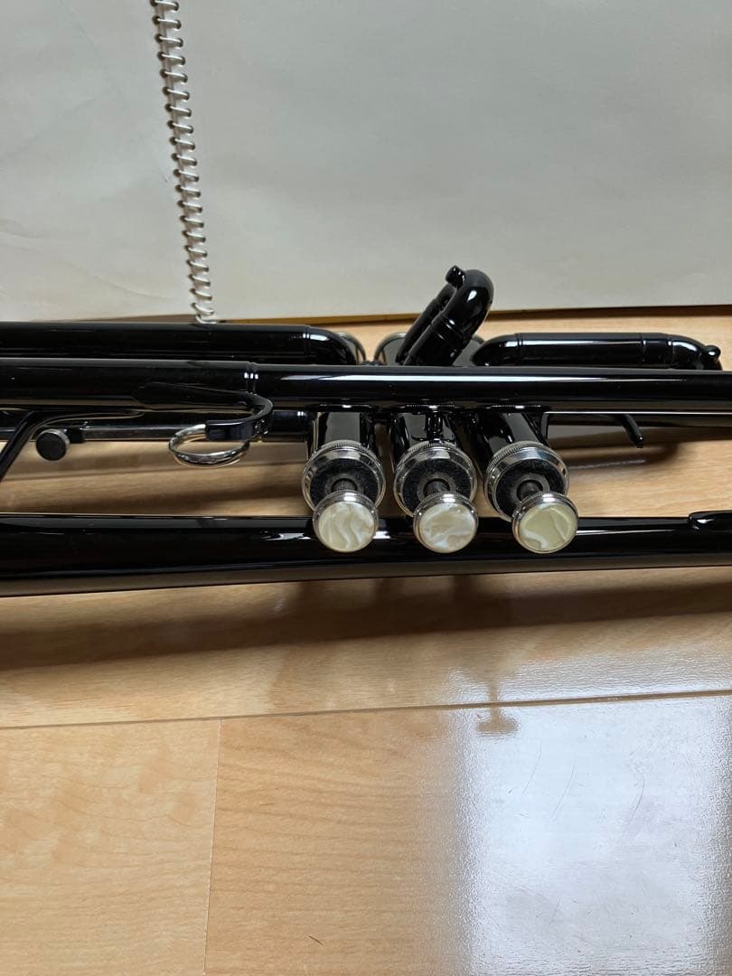 ケルントナートランペット 本体 黒色 ケース付き