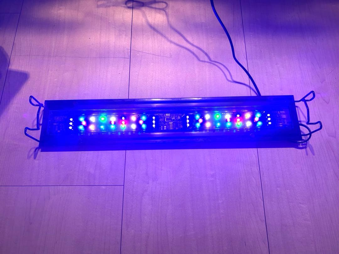 Grassy Wing2 60 グラッシー・ウィング2 60