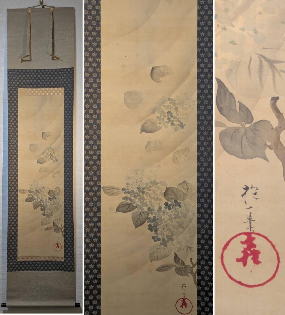 【模写】掛軸　酒井抱一　紫陽花図　儚くも美しき初夏の彩　合箱入　T58