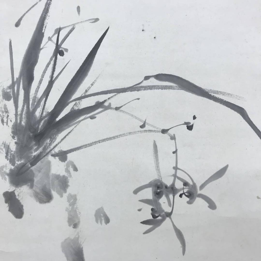 真作/滝和亭/秋蘭図/ラン図/花図/花鳥図/掛軸☆宝船☆AE-415