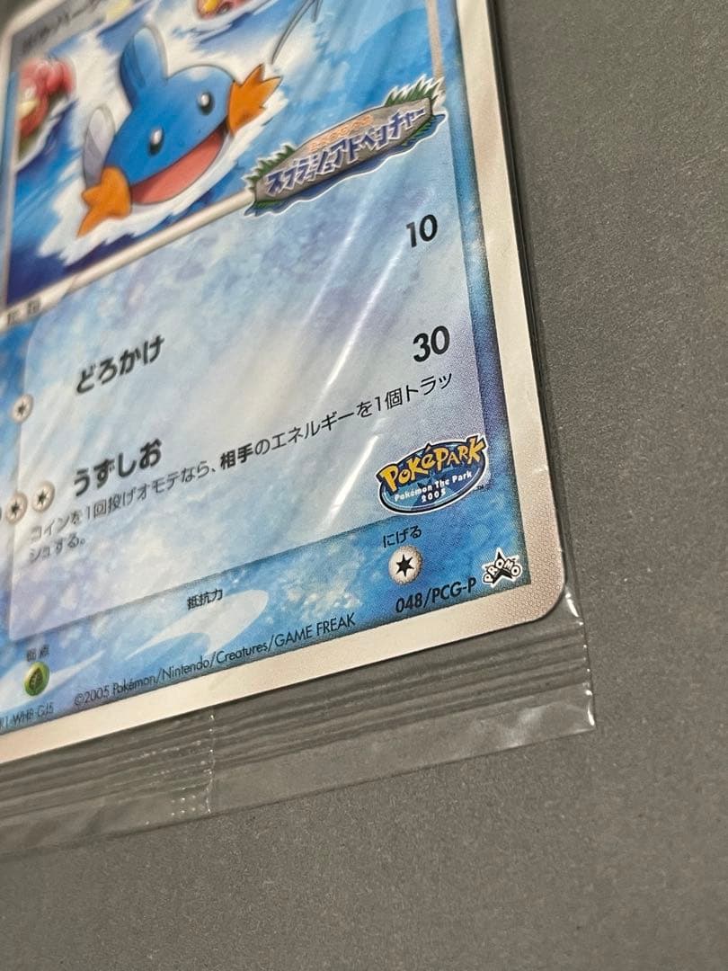 ポケパークのミズゴロウ 未開封 プロモ 046/PCG-P
