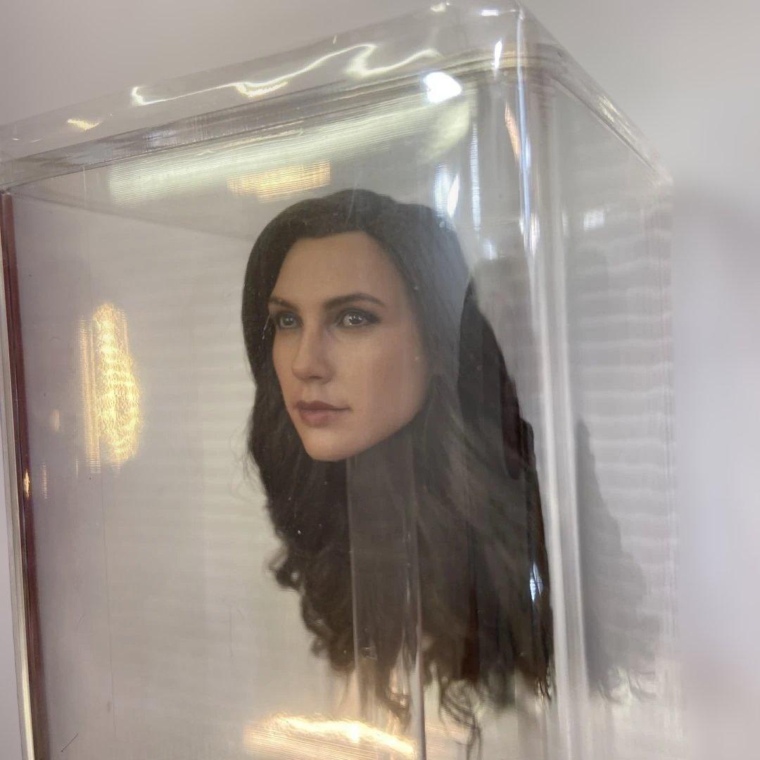 【未使用品】ホットトイズ ワンダーウーマン ワーナー100周年 MMS698