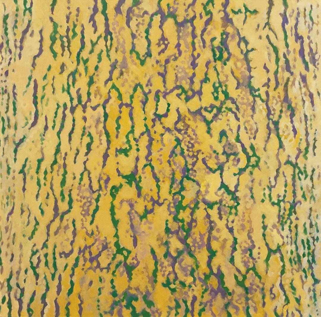 絵画 820 油絵/抽象画風/自然のパターン/樹皮/S10号