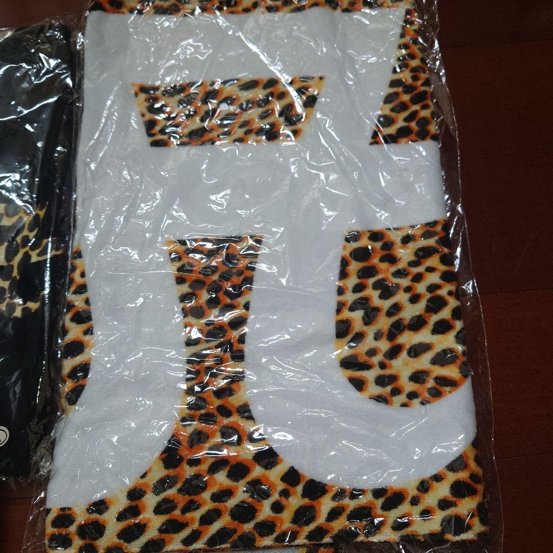 ayumi hamasaki 2000-2001 写真集とアパレルセット