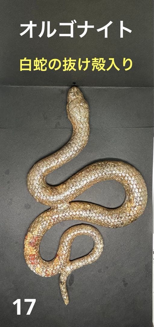 オルゴナイト 白蛇の抜け殻 開運 魔除け 金運 家内安全