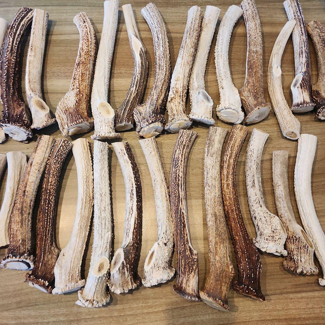 ぶち　鹿の角 (特大～大サイズ)犬用おもちゃ ランダム　2kg　8本