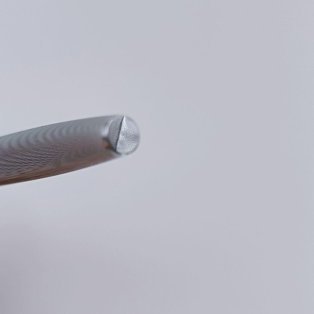 万年筆 WATERMAN C/F シルバーモアレ 18k ウォーターマン