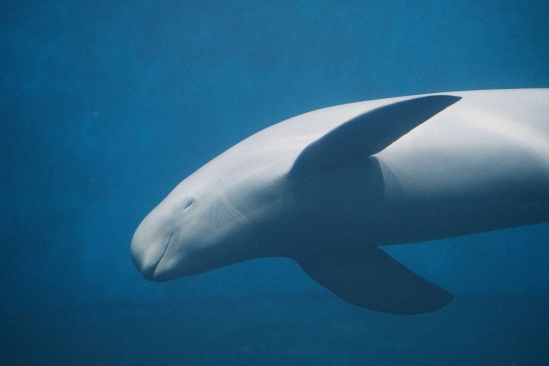 フジノンレンズ XF33mm f1.4 R LM WR