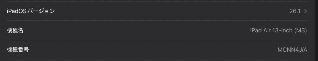 も*く様 iPad Pro 13インチ M3 256GB + Logicool