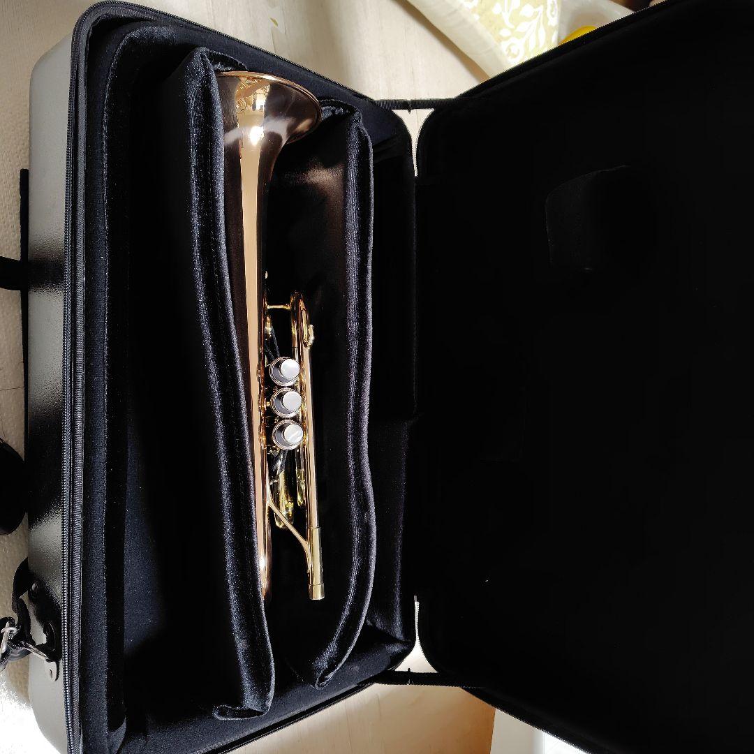 【最終日価格】Protec トランペットトリプルケース ブラック