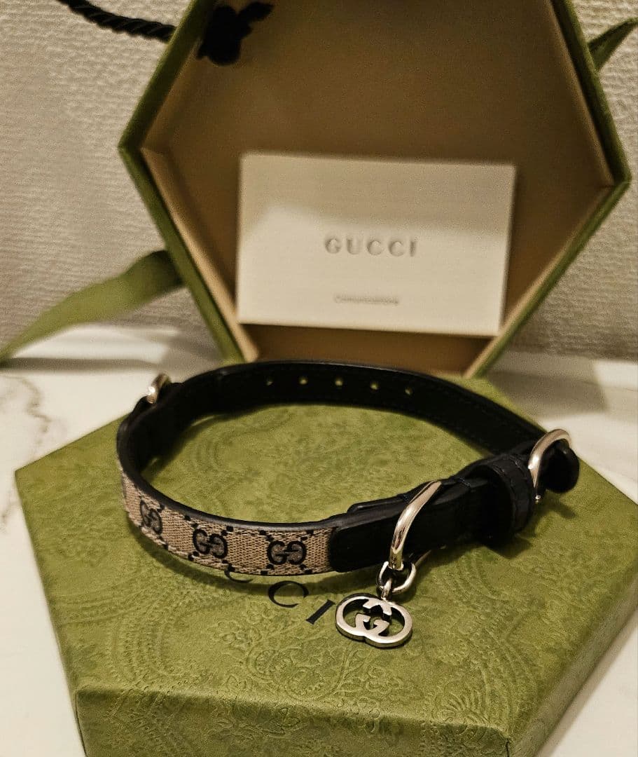 【未使用】GUCCI ワンちゃん 猫ちゃん用 首輪(カラー) XXS
