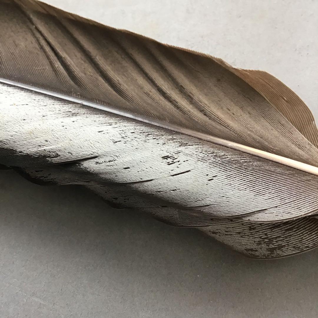 茶道具　御羽箒　三ツ羽根(野雁)羽箒　紙箱劣化有　S68HB