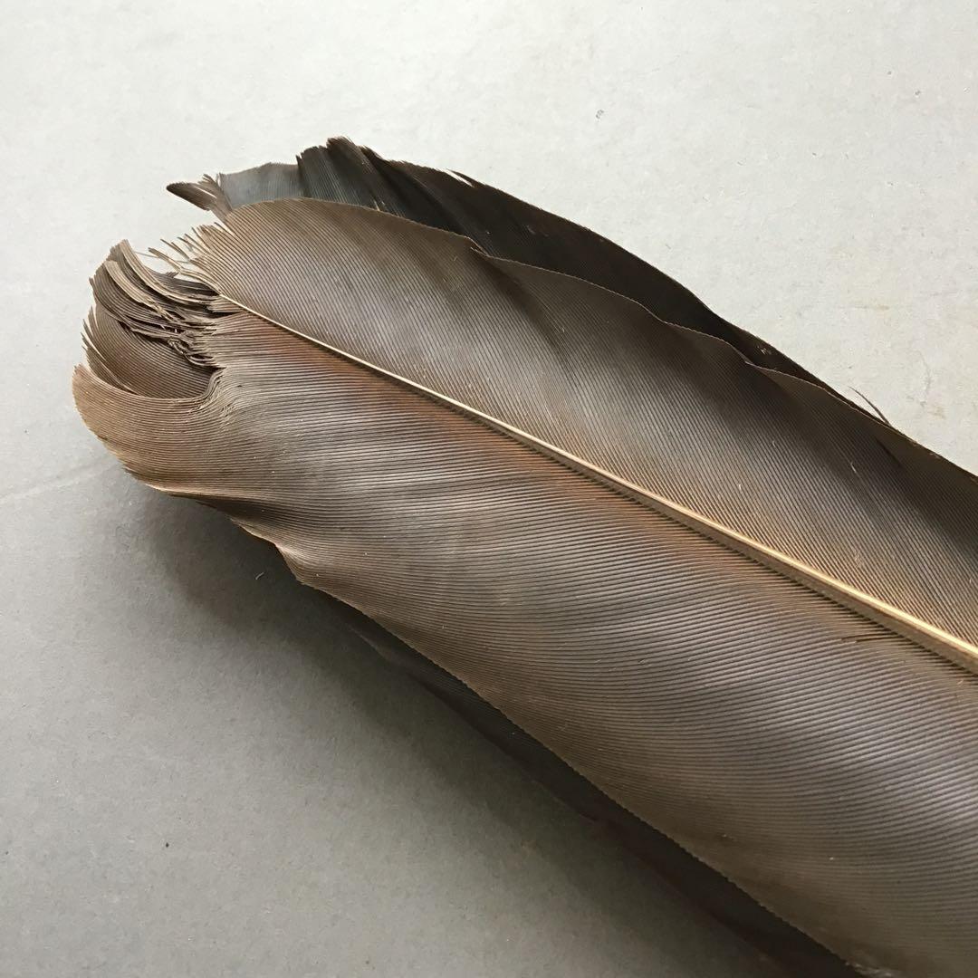 茶道具　御羽箒　三ツ羽根(野雁)羽箒　紙箱劣化有　S68HB
