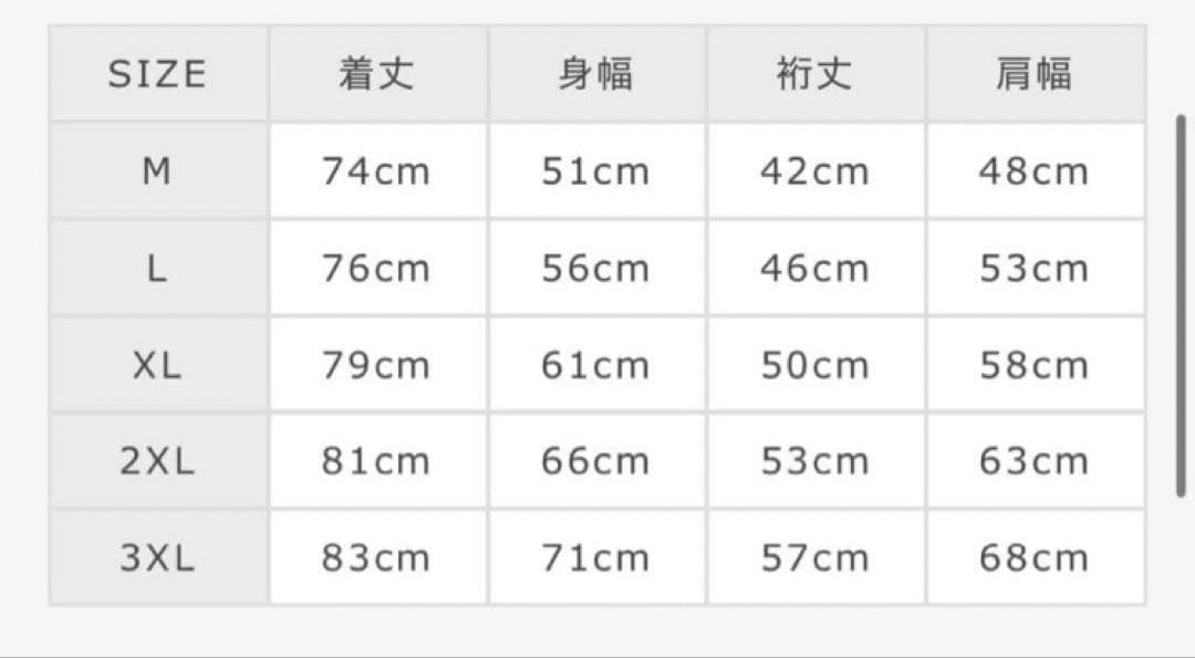 【新品未開封•限定品】NORIKIYO 「OUTLET BLUES 」　半袖　L