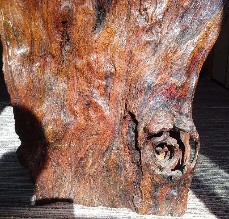 【貴重】屋久杉　原木　こぶ　オブジェ　置物　天然木