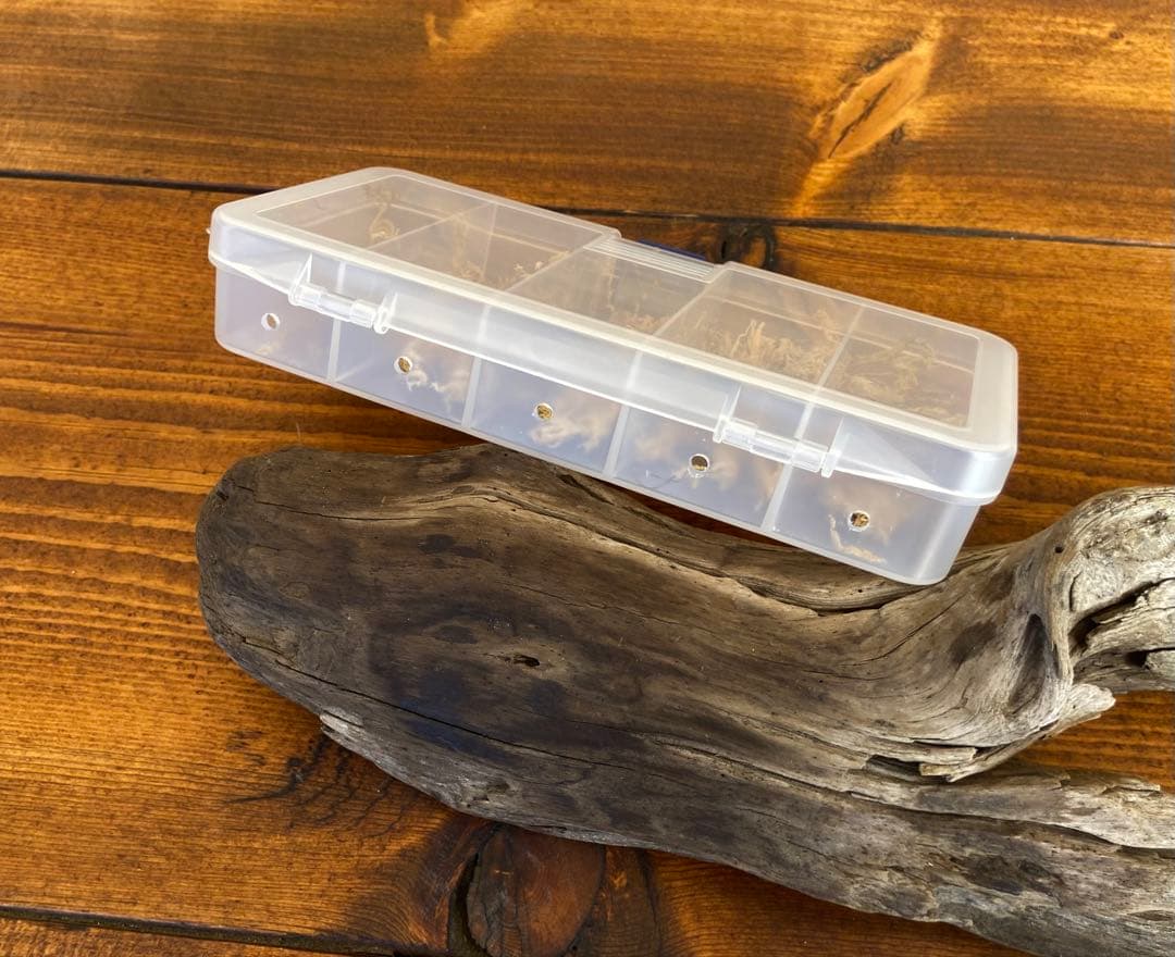 クワガタ採集セット　オレンジ　オリジナル掻き出し棒　デジタルノギス　採集ケース