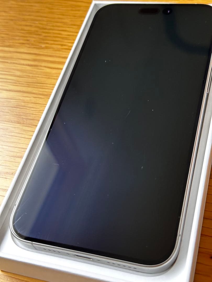 [山口さん専用]Apple iPhone 15 Pro Max 256GB 本体