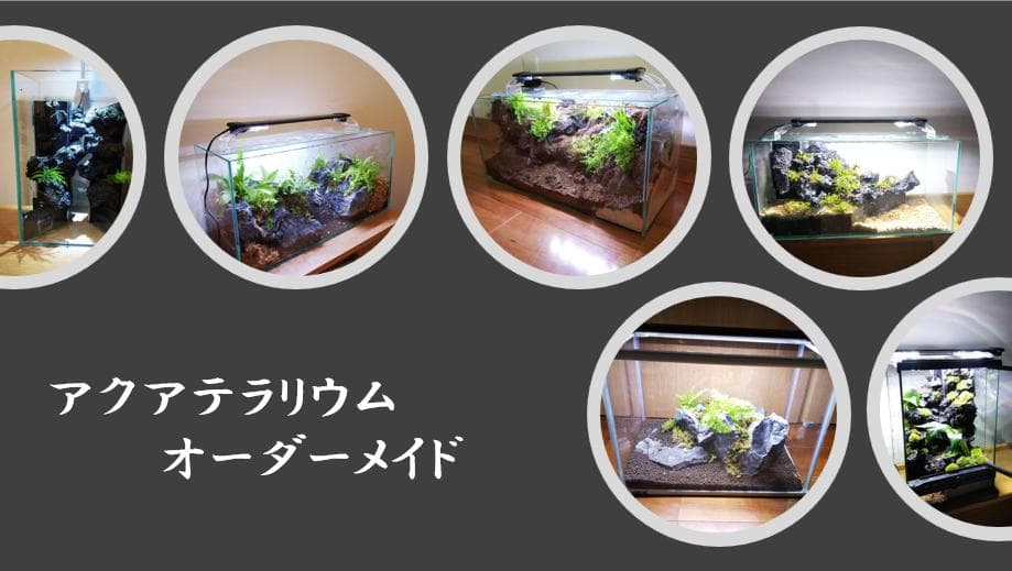 【オーダーメイド】滝のあるアクアテラリウム　苔テラリウム　アクアリウム