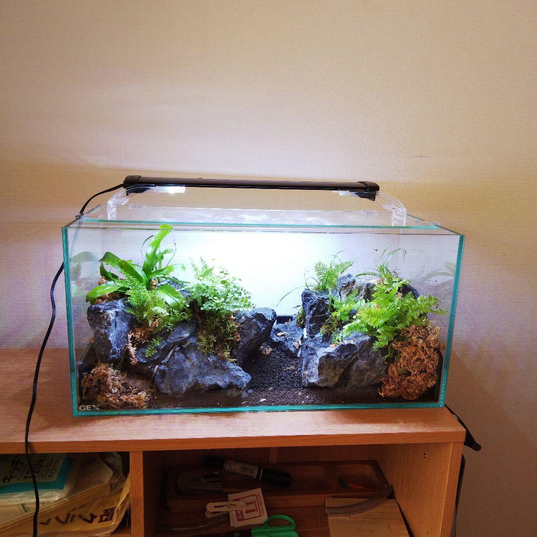 【オーダーメイド】滝のあるアクアテラリウム　苔テラリウム　アクアリウム