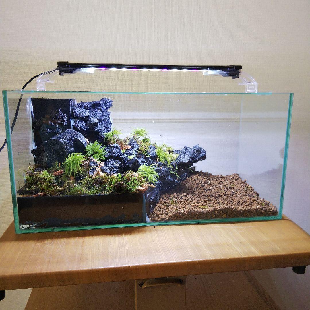 【オーダーメイド】滝のあるアクアテラリウム　苔テラリウム　アクアリウム