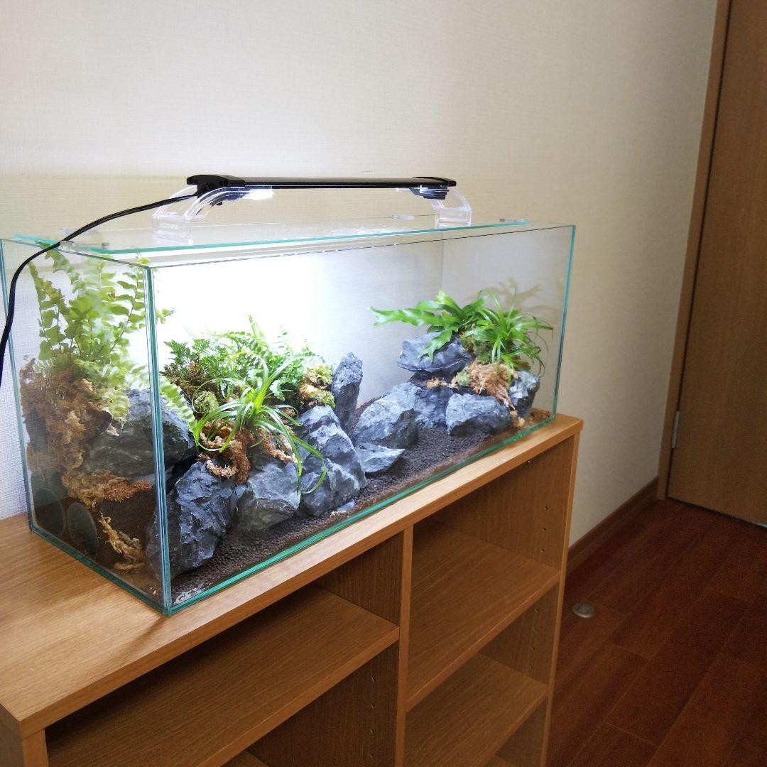 【オーダーメイド】滝のあるアクアテラリウム　苔テラリウム　アクアリウム